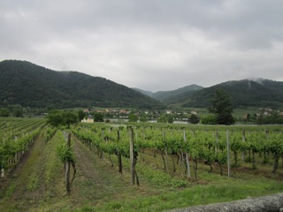 Weinberg