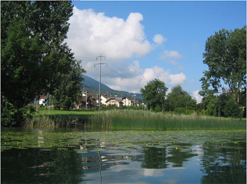 Seezone [Bild]
