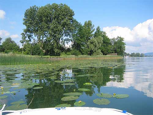 Seezone [Bild]