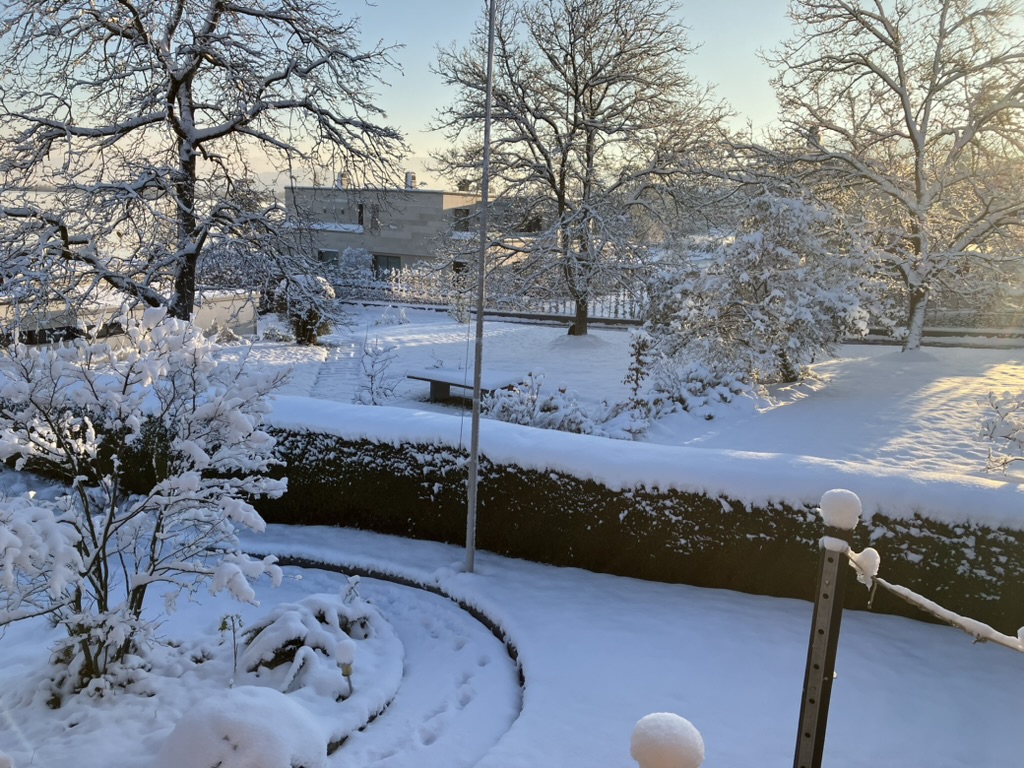 3. Dezember 2023 [Bild]