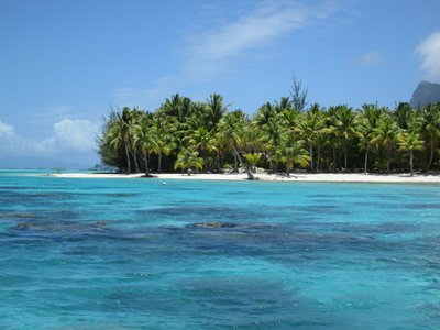 bora-bora-schnorcheln