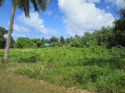 kuestenlandschaft