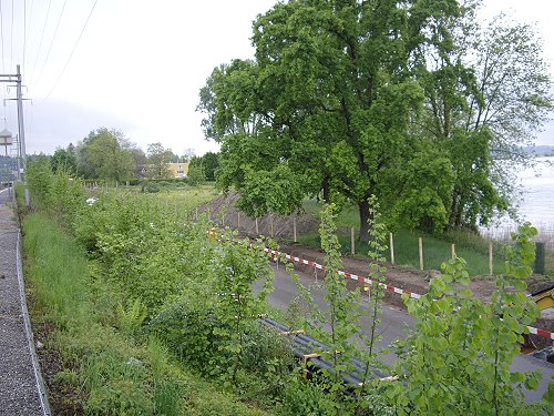 Trottoirbau am 14. Mai 2010 [Bild]