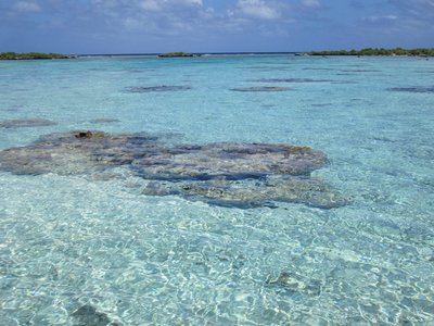 bora-bora-korallenbaenke